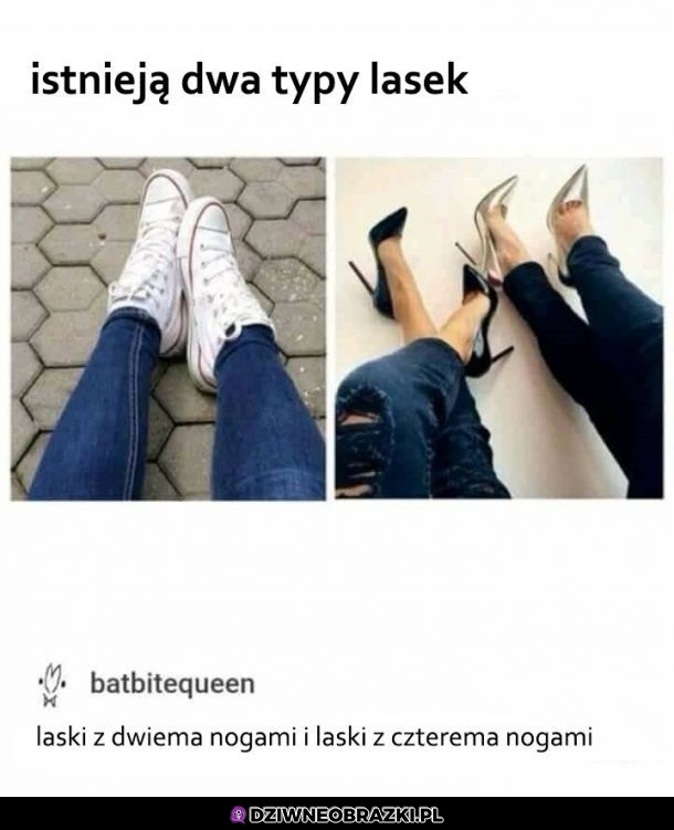 Dwa typy lasek