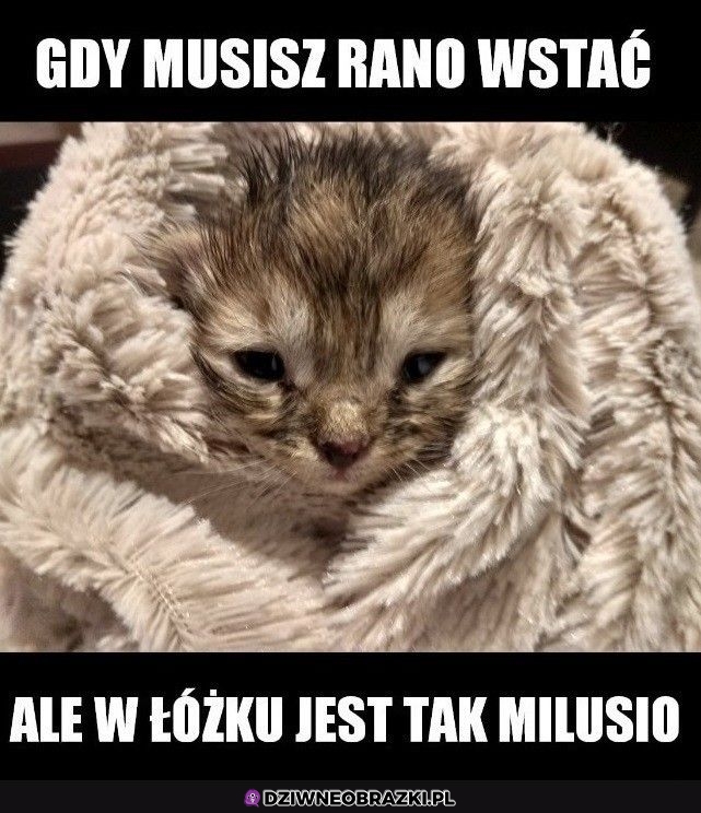 Najgorzej