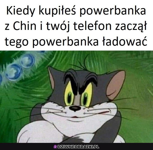 Coś tu nie gra