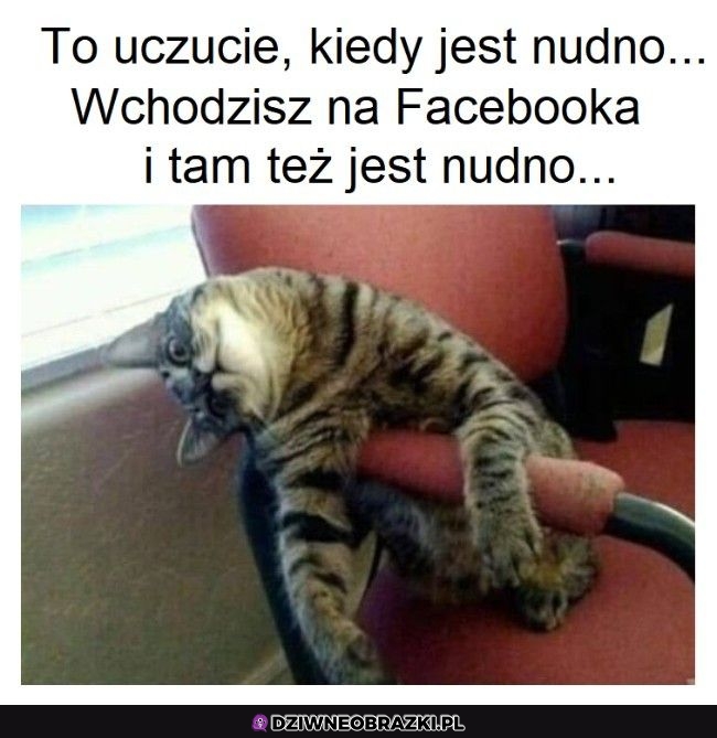 Jezu jaka nuda ostatnio
