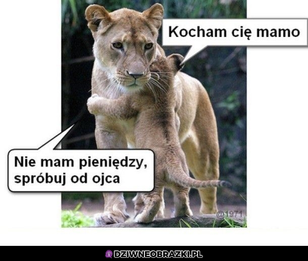 Spróbuj z ojcem