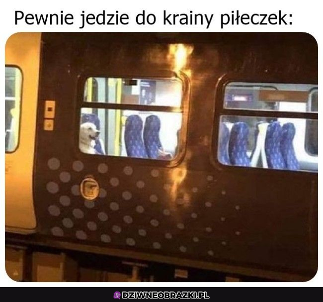 Już zaczyna wakacje 