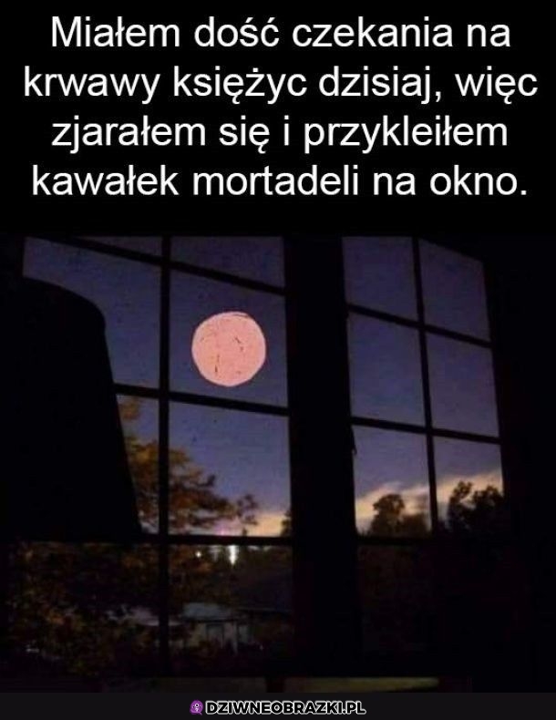 Rozwiązane