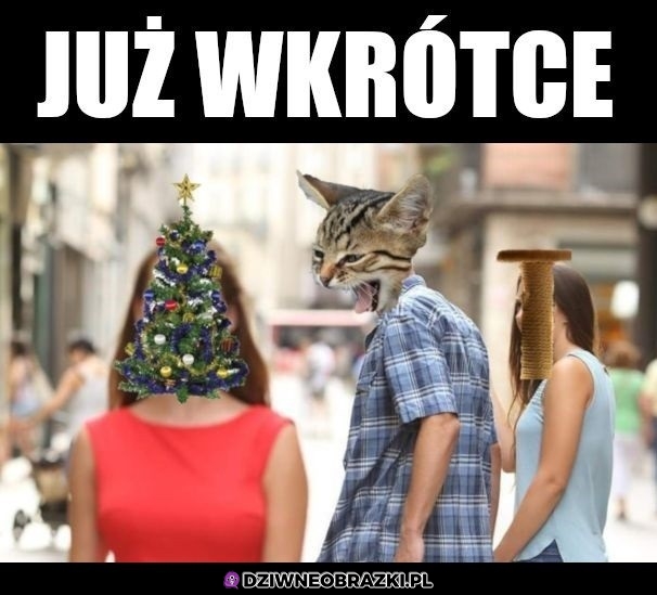 Już teraz