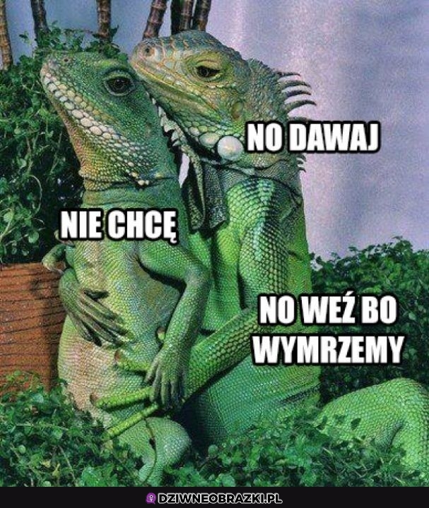No weź
