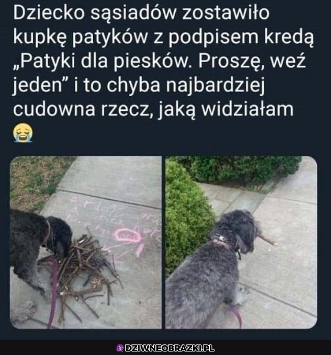 Słodko