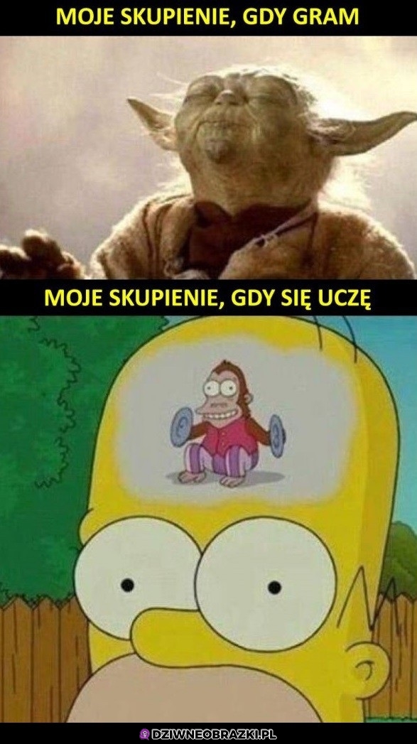 Moje skupienie