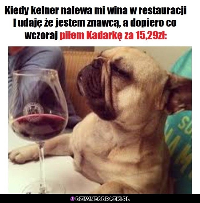 Koneser