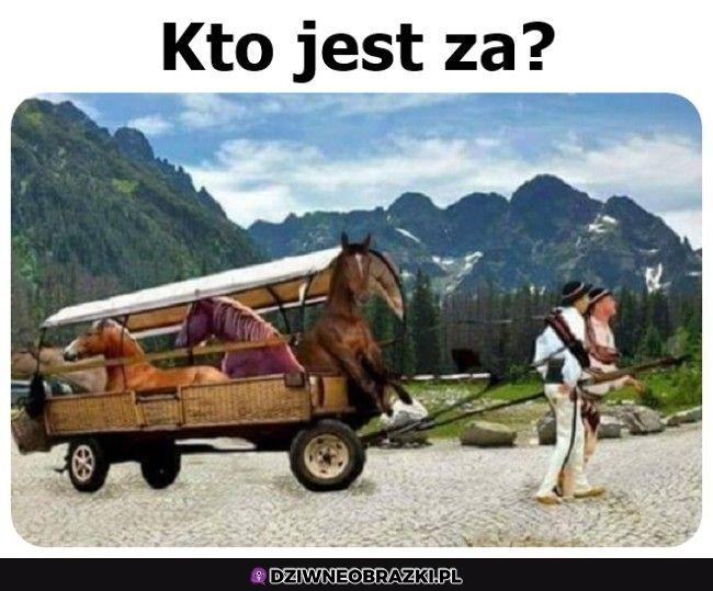 Dobra zmiana?