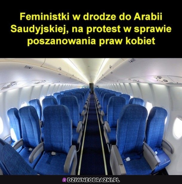 Ależ ich dużo