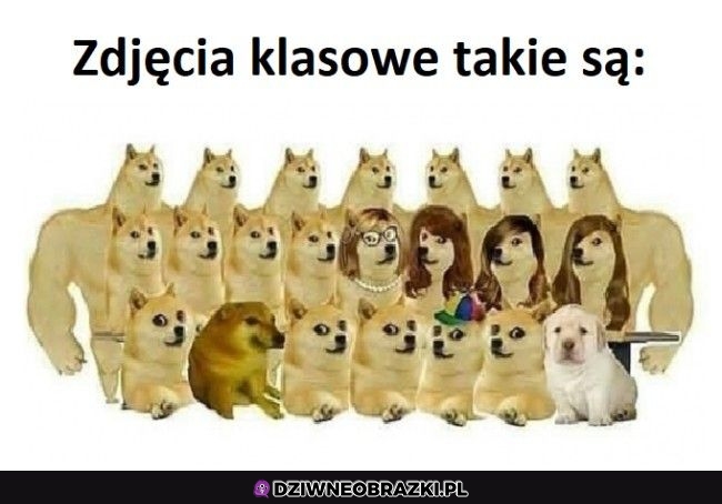 Dokładnie tak