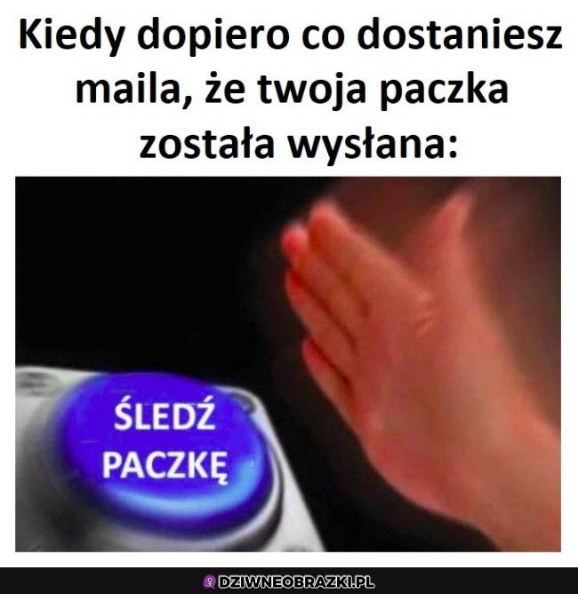Zawsze