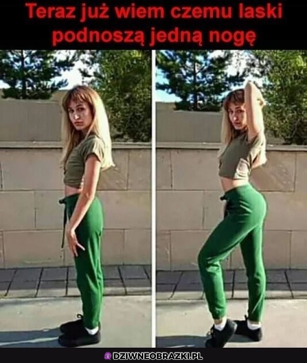 I wszystko jasne
