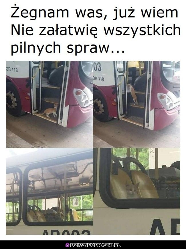 Żegnajcie