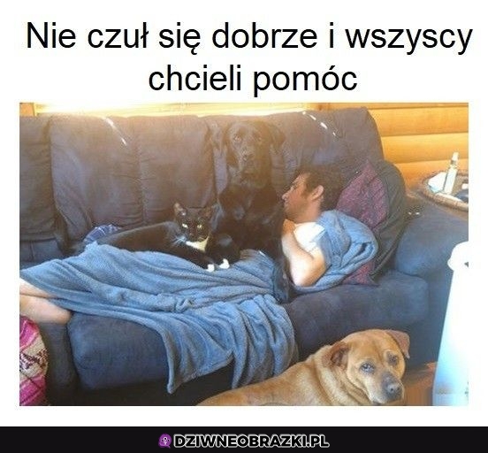 Zespół wsparcia