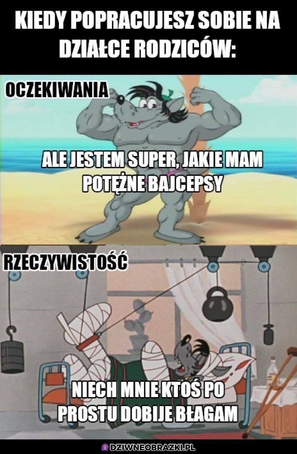 Praca na działeczce