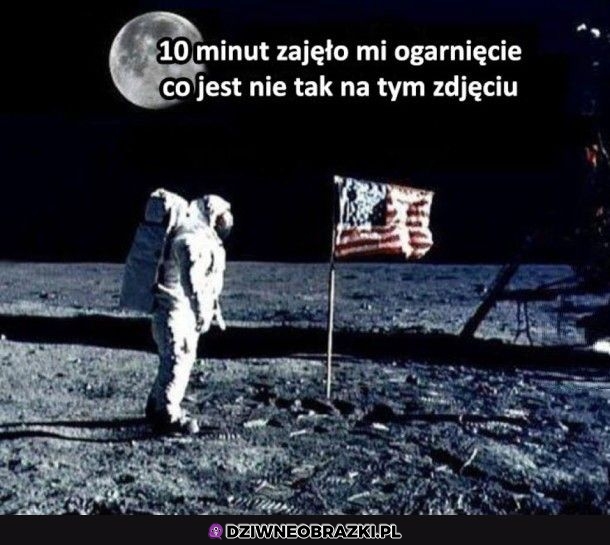 Bystrzakiem nie jestem