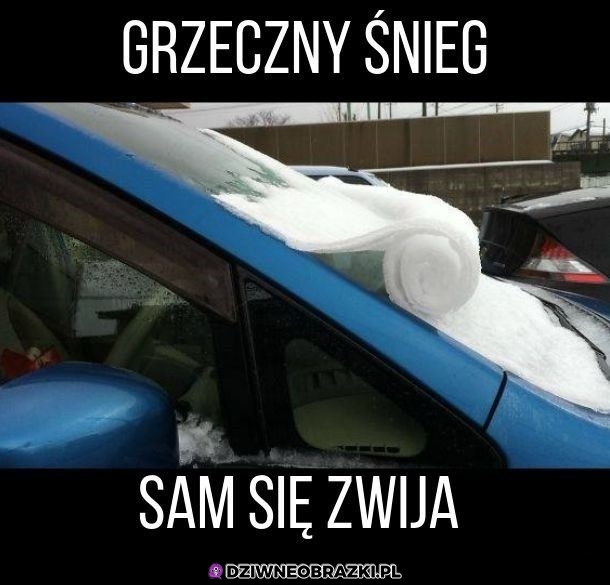 Dobry ziomek śnieg
