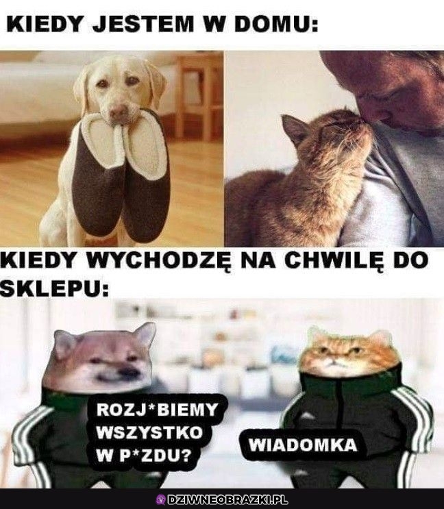 Wystarczy tylko moment