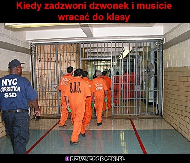 Dzwoneczek