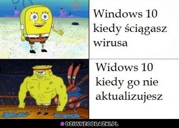 Windows 10
