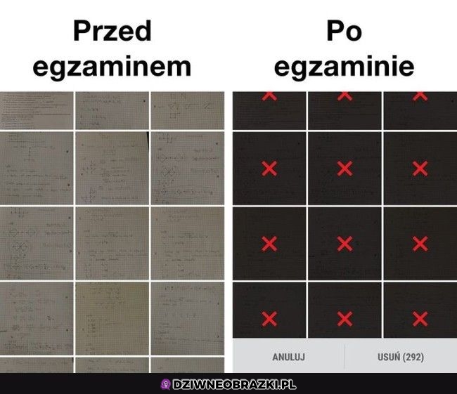Zawsze