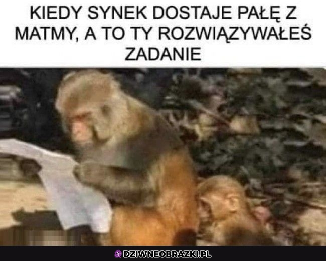 Pokaż no to