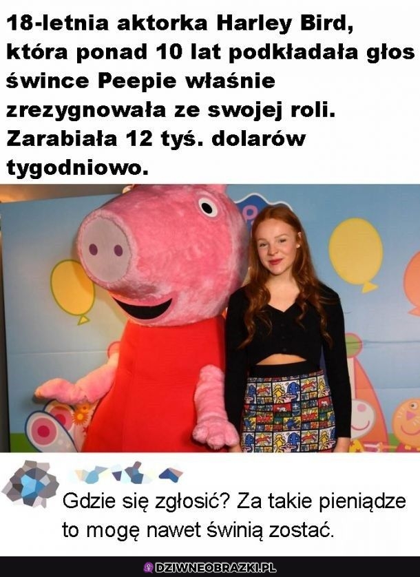 Chcę taką pracę