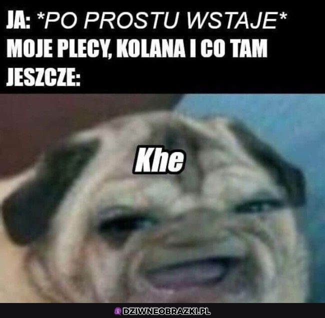 Kiedy wstaje