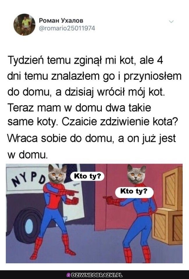 Zaginiony koteł