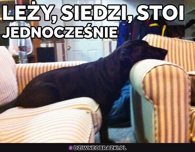 Wielofunkcyjny