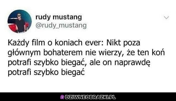 Filmy o koniach