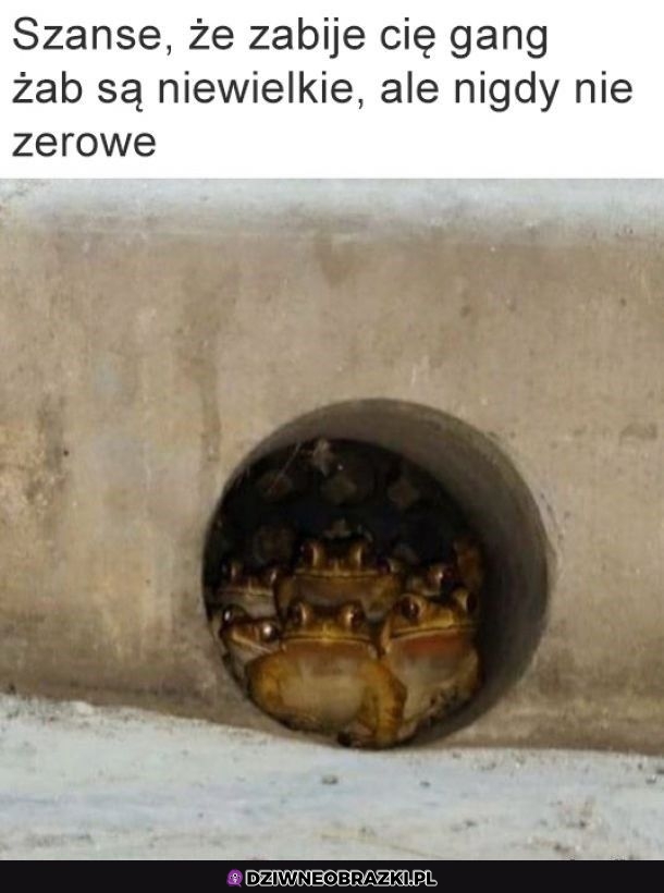 Pamiętaj, nie są zerowe