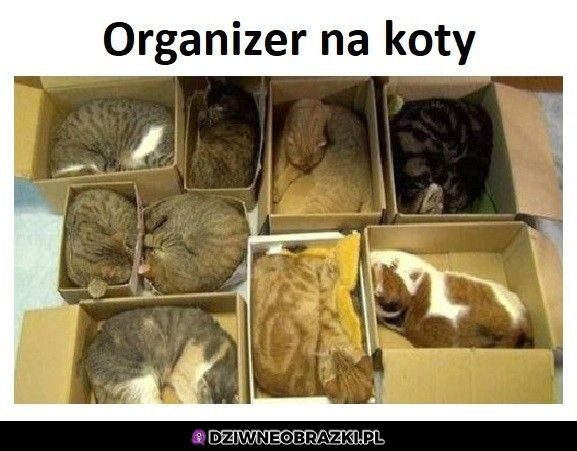 Skuteczny