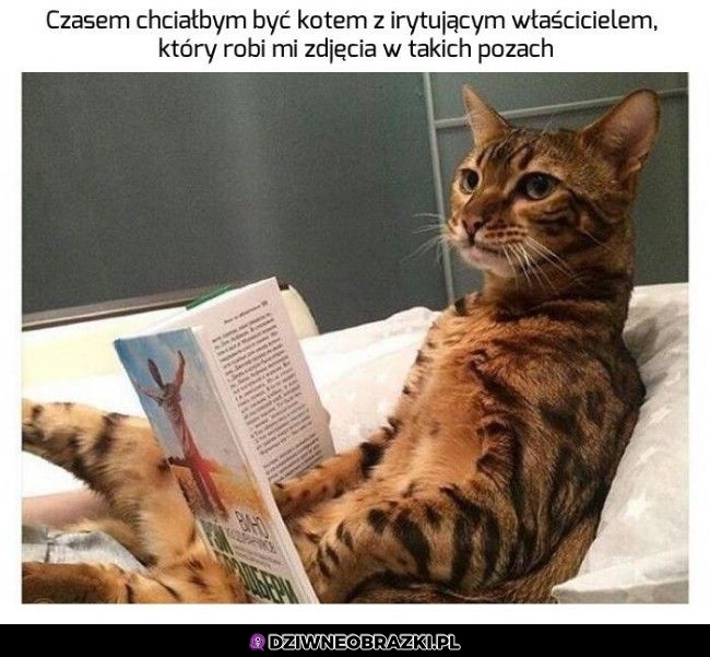 Kurde Andrzej starczy już, daj poczytać