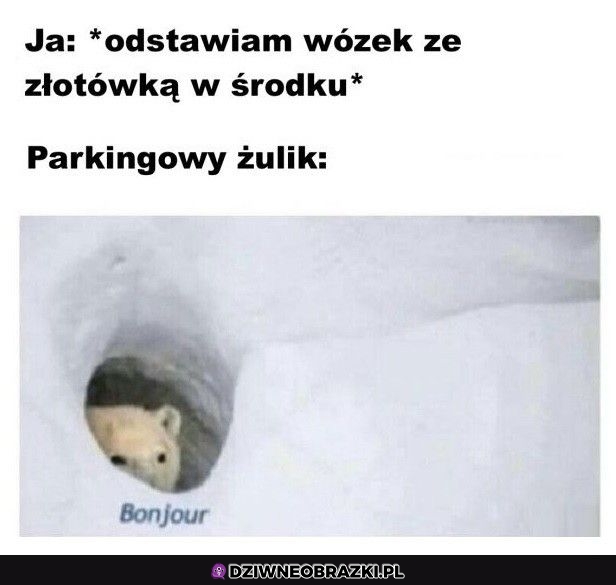 Ten moment