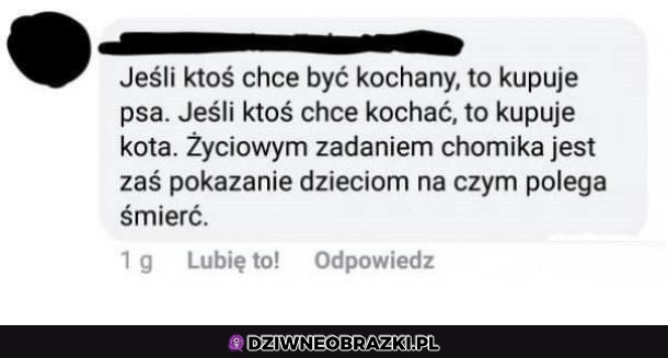 Biedne chomiczki