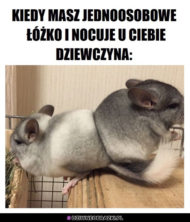 Tak to wygląda