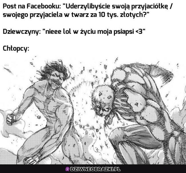 Tak to wygląda
