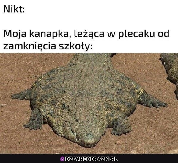 Sprawdźcie plecaki