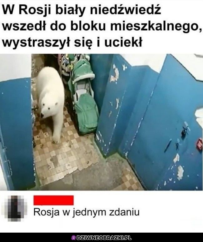 Po prostu Rosja