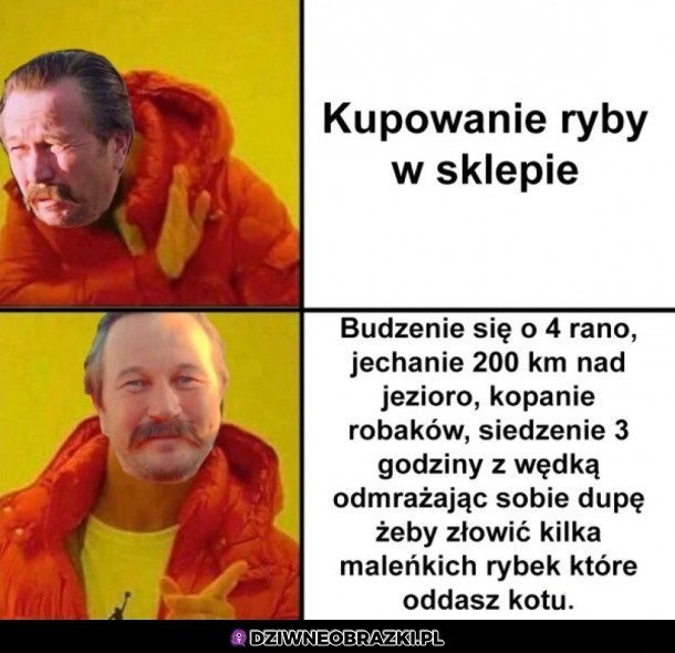 Rybki