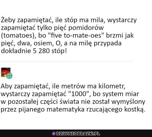 Właśnie