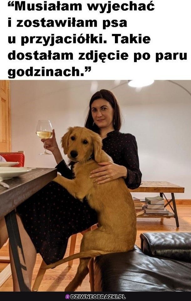 Zakumplował się