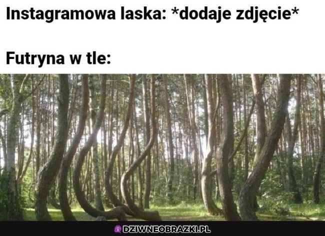 Trochę powyginało