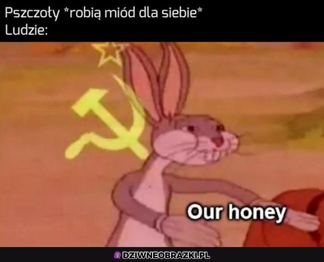 Miodek