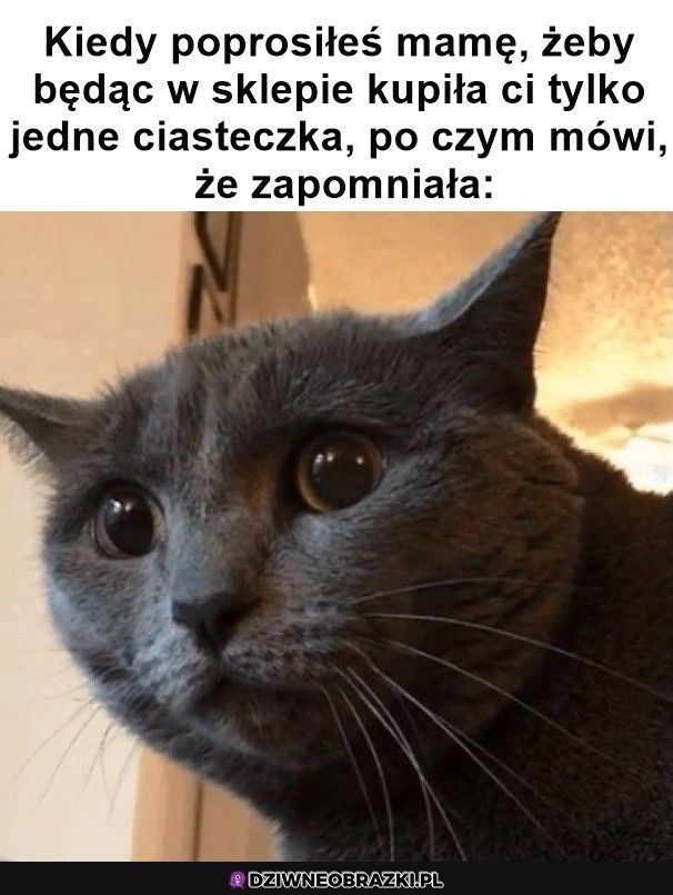 Ten moment