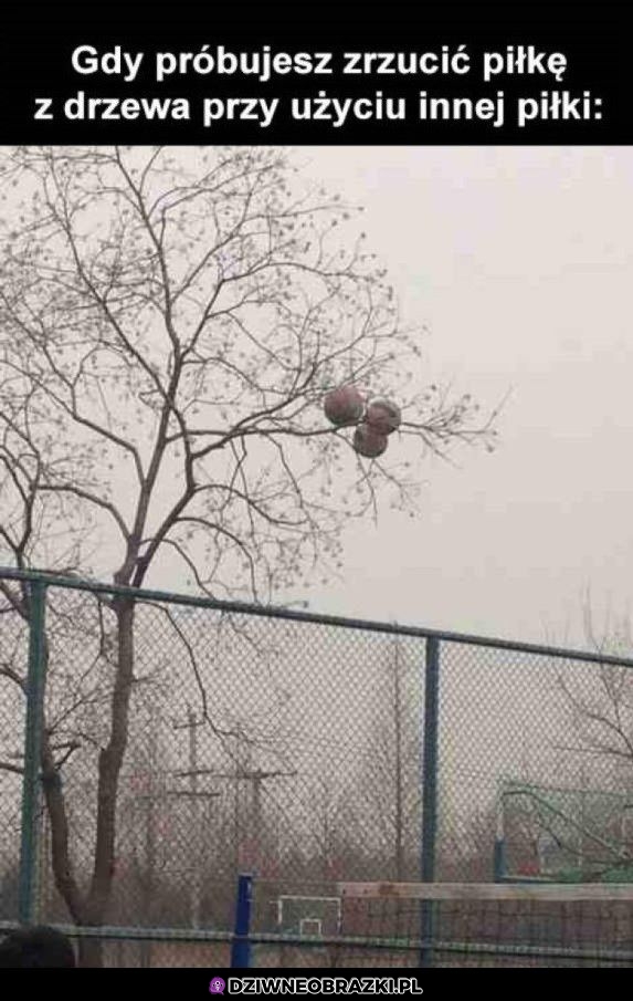 Ten moment Ten moment