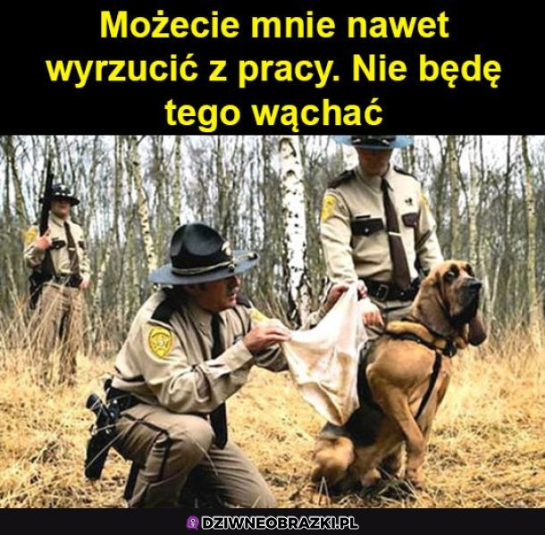 Każdy ma jakieś granice