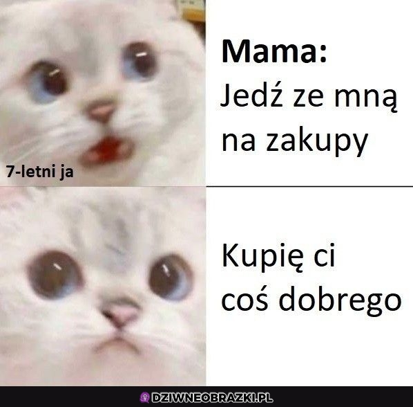 A to zmienia postać rzeczy